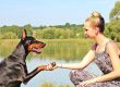 Woman holding dog paw as work continues to protect pets in domestic violence