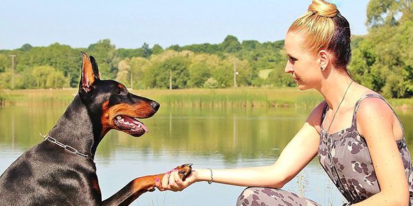 Woman-holding-dog-paw-as-work-continues-to-protect-pets-in-domestic-violence Woman holding dog paw as work continues to protect pets in domestic violence