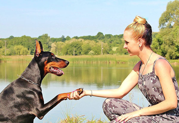 Woman-holding-dog-paw-as-work-continues-to-protect-pets-in-domestic-violence Woman holding dog paw as work continues to protect pets in domestic violence