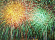Dogs don't like fireworks