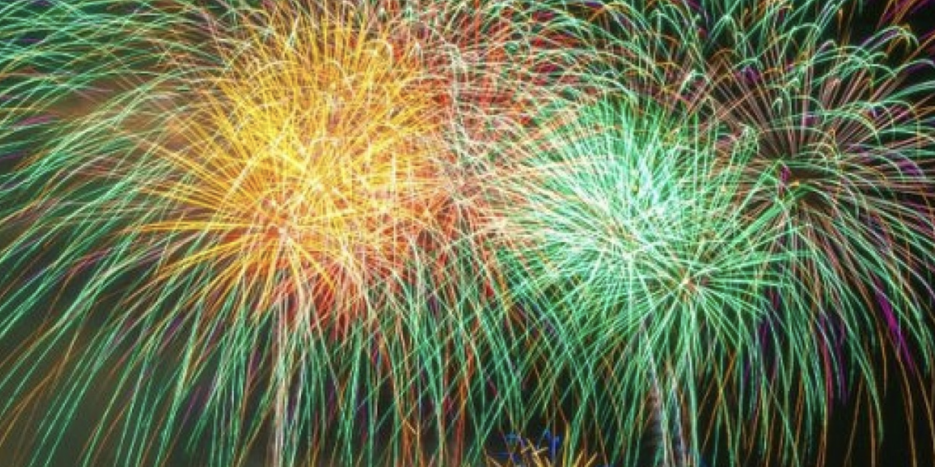 Fireworks Dogs don't like fireworks