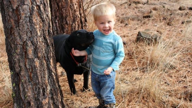 800 Toddler with Dog_Public Domain via Wikimedia Commons oddler with Dog_Public Domain via Wikimedia Commons