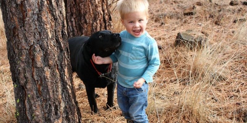 800 Toddler with Dog_Public Domain via Wikimedia Commons oddler with Dog_Public Domain via Wikimedia Commons