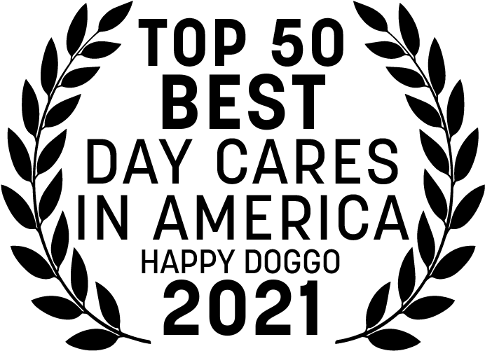 Named Top 50 Best Dog Day Cares in America - Happy Doggo